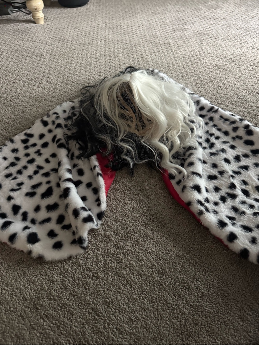 Women’s Black &White Dalmatian Fur Cape Costume with Red Lining and Cruella wig